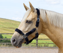 Load image into Gallery viewer, Faux Sheepskin Padded Headcollar- Black, Grey and Navy Blue