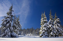 Load image into Gallery viewer, Nordic Winter Boot Socks- Blue Borealis